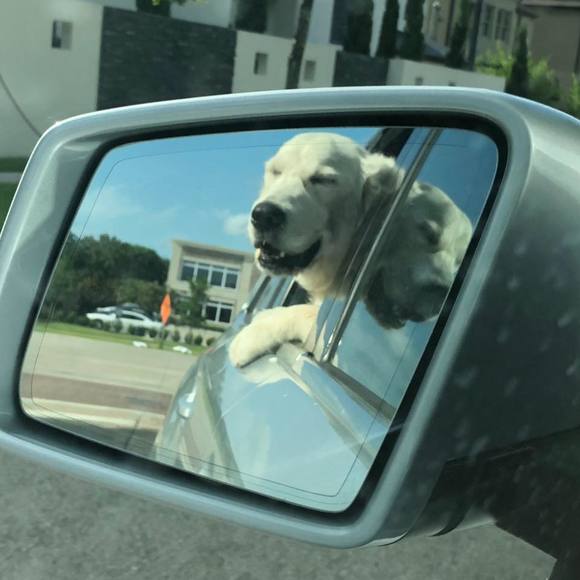 Meet your Posher, Erica - Picture 1 of 1